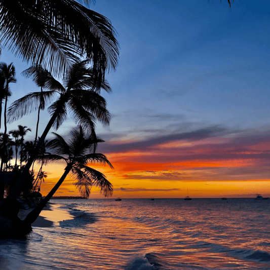 Caribbean Escape Summa Buttah