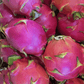 Dragonfruit Island Summa Buttah